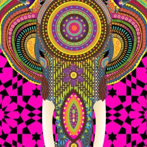 Indian Elephant decoration art NFT of Digital Textile art