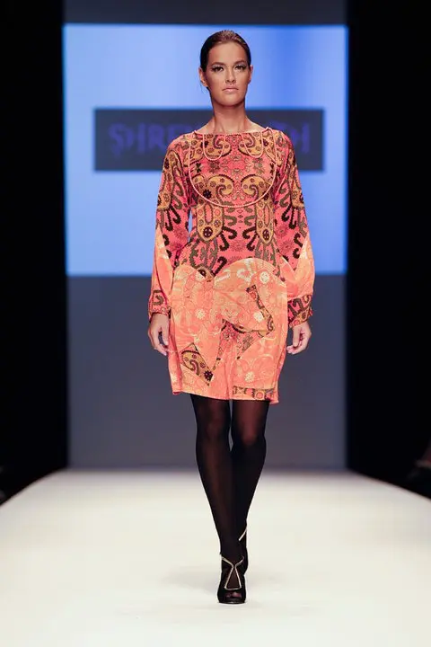 1. Arabian embroidery print Dress